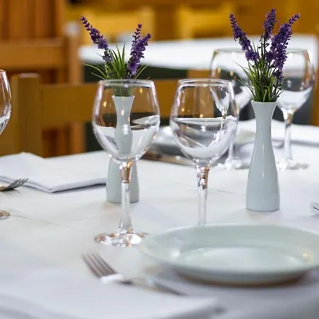 Ξενοδοχείο Farre D'avall *